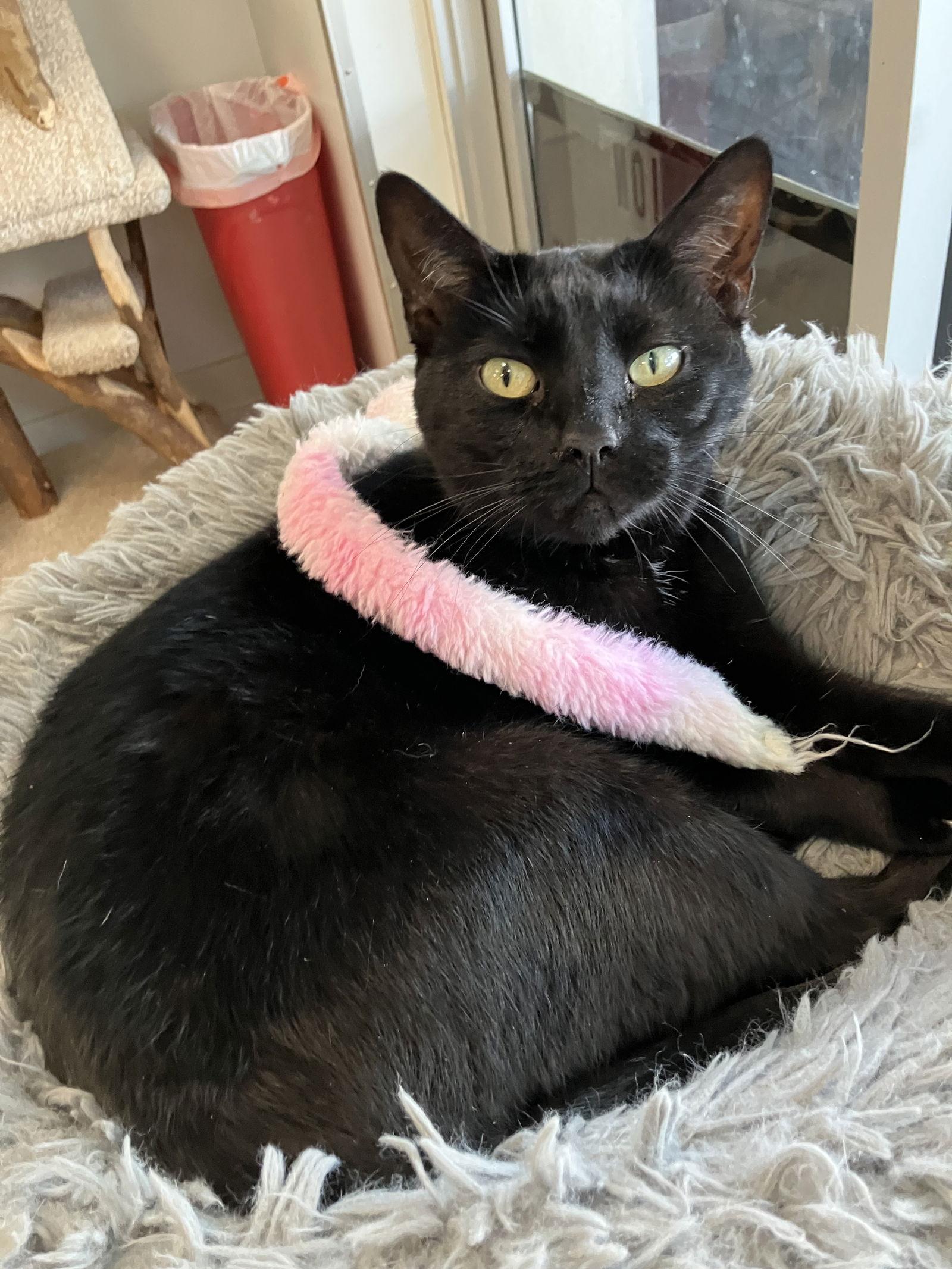 Columbia thumbnail 2