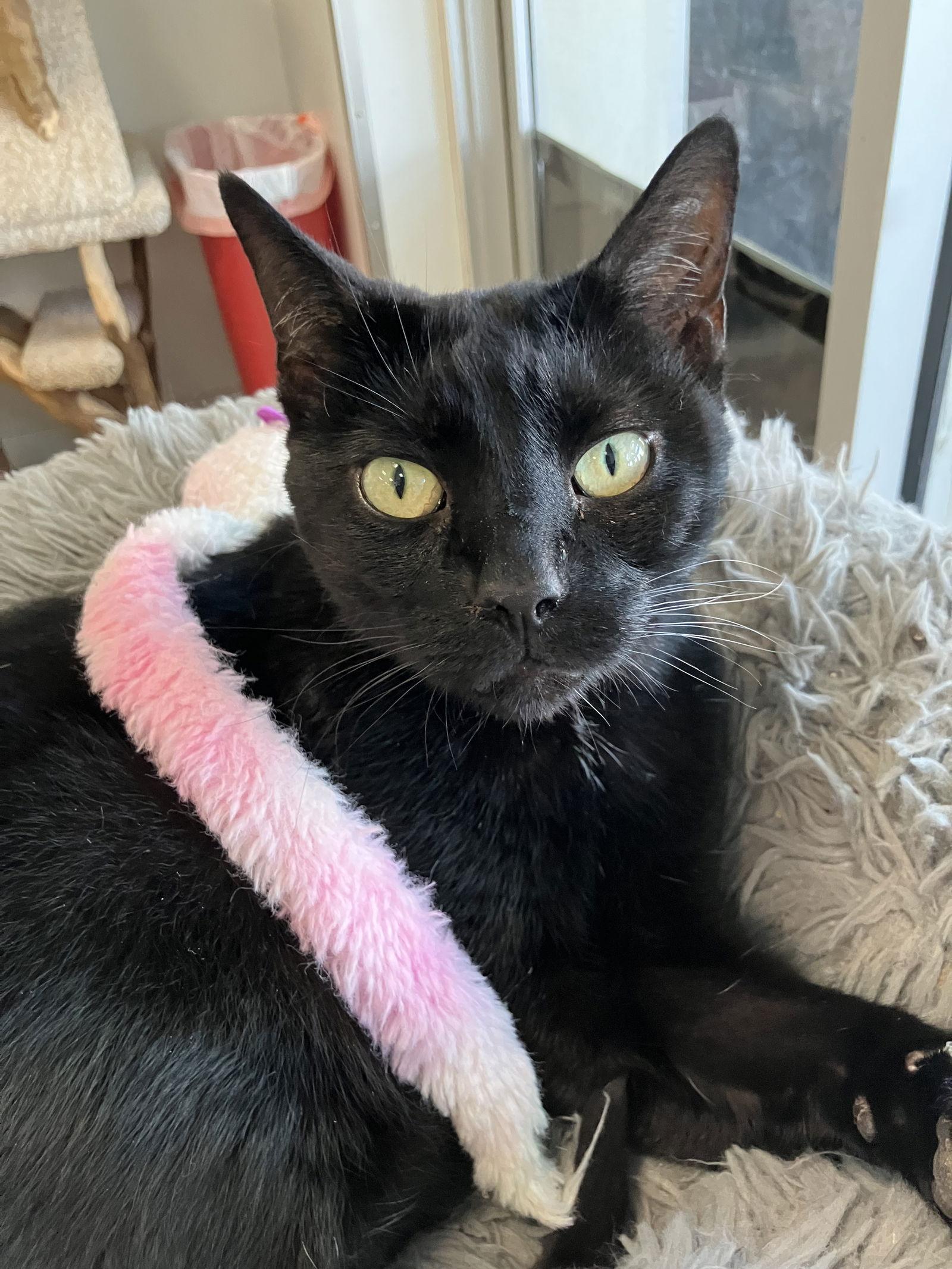 Columbia thumbnail 3