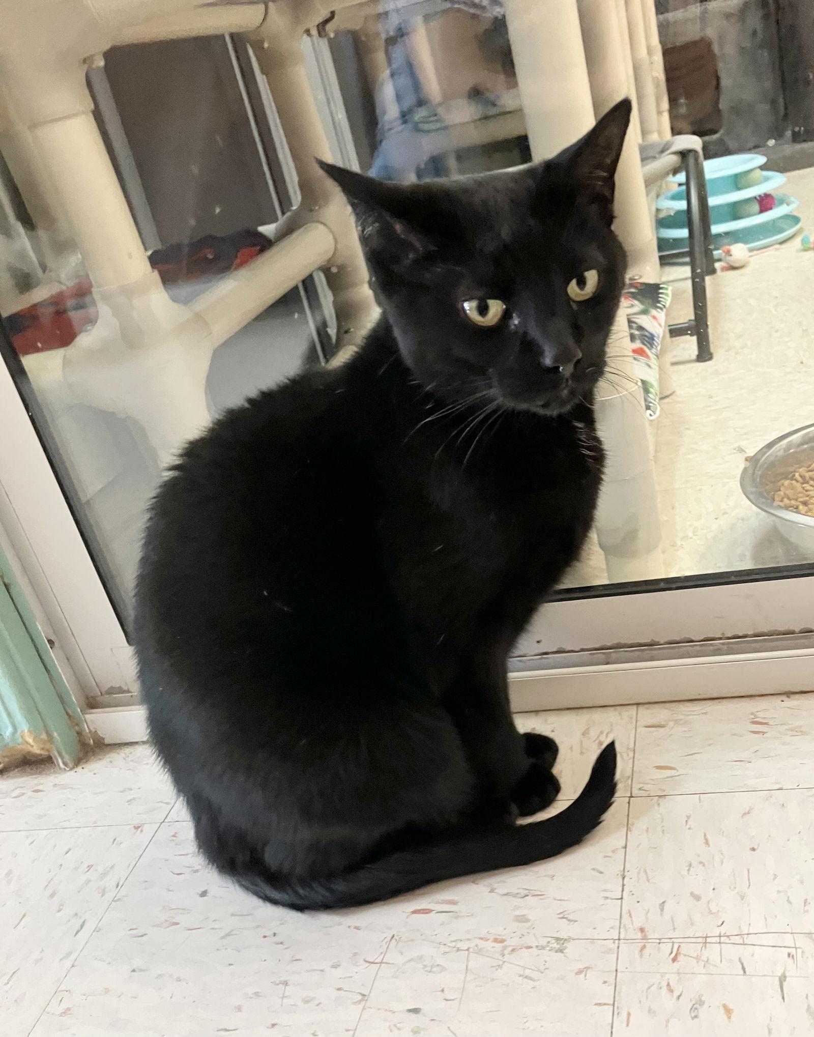 Columbia thumbnail 4