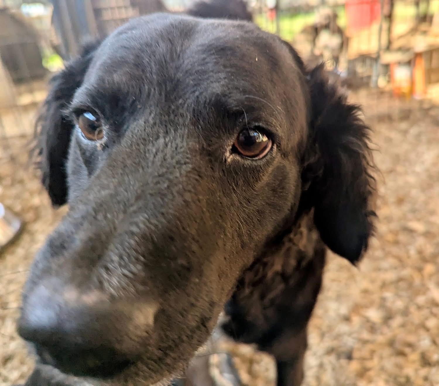 TEDDY — thumbnail 4