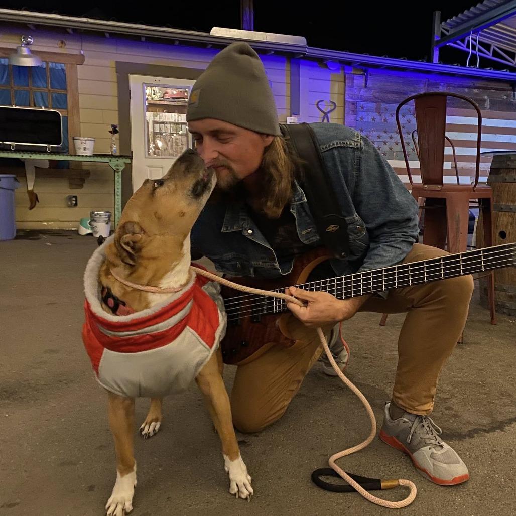Daisy (fka Hailey), Adoptable, Senior Female Pit Bull Terrier.