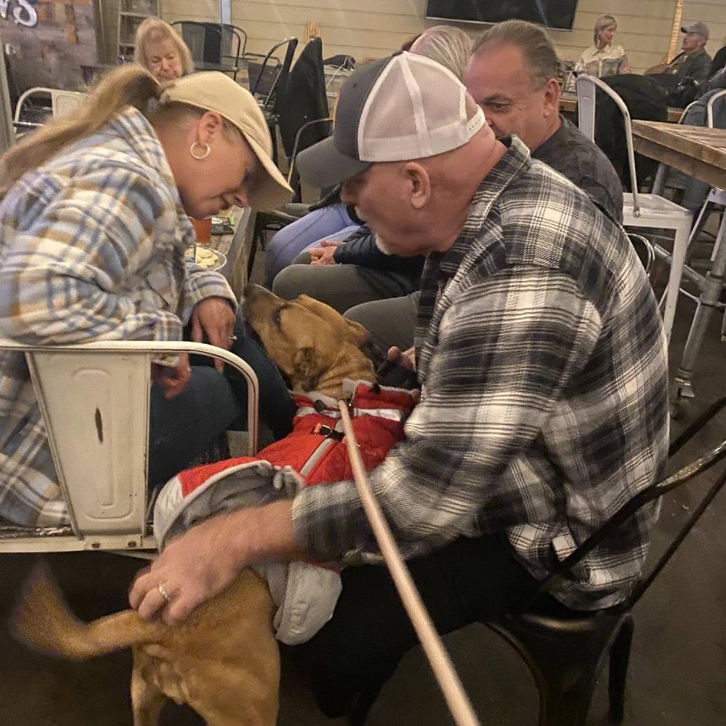 Daisy (fka Hailey), a Adoptable Pit Bull Terrier in Silver Spring, MD image 5/6