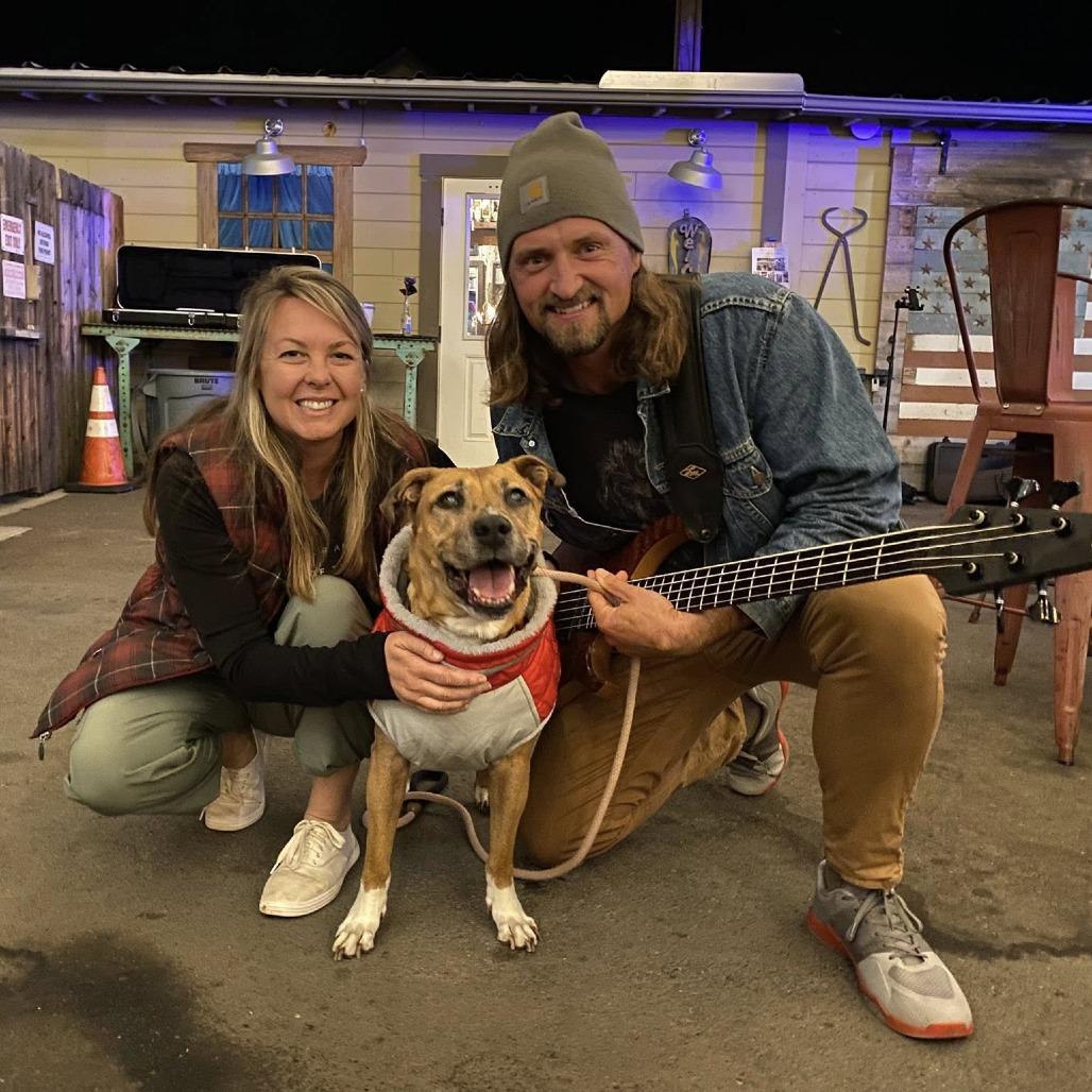 Daisy (fka Hailey), a Adoptable Pit Bull Terrier in Silver Spring, MD image 6/6