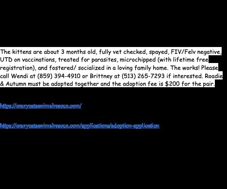 Roadie & Autumn thumbnail 2