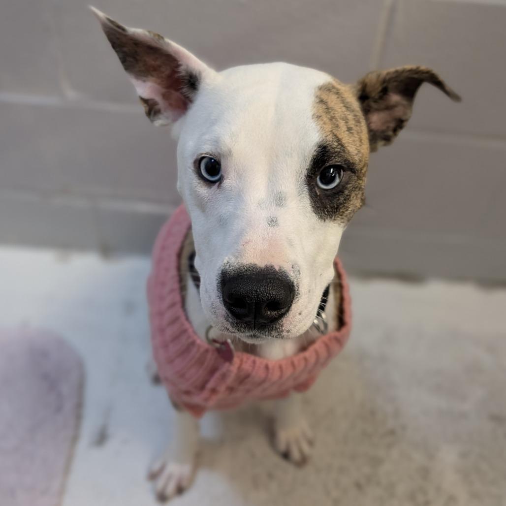 Momtisserie thumbnail 5