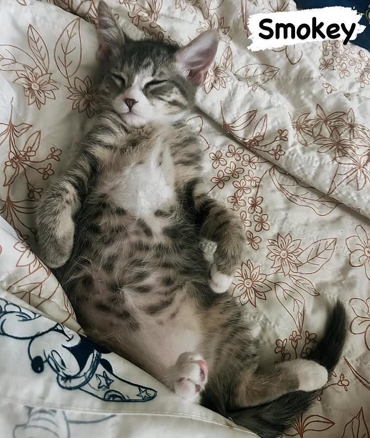 Smokey
