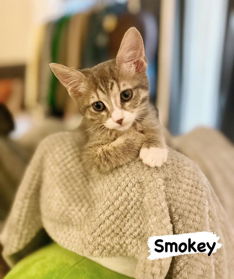 Smokey
