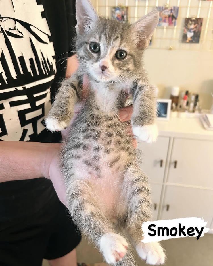 Smokey