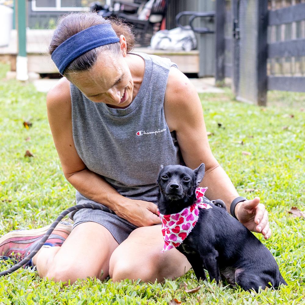 Cricket (Female)   Avail  8/23