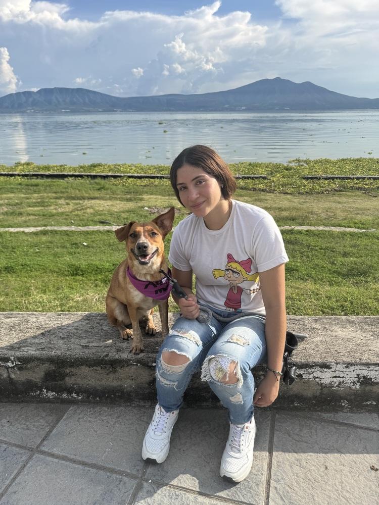 Gala, a Adoptable mixed breed in Gig Harbor, WA image 1/6