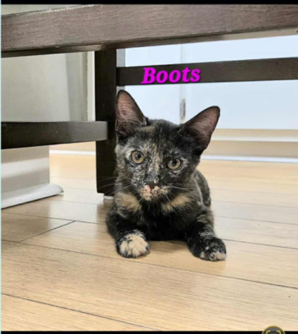 Boots (Orlando Fl)
