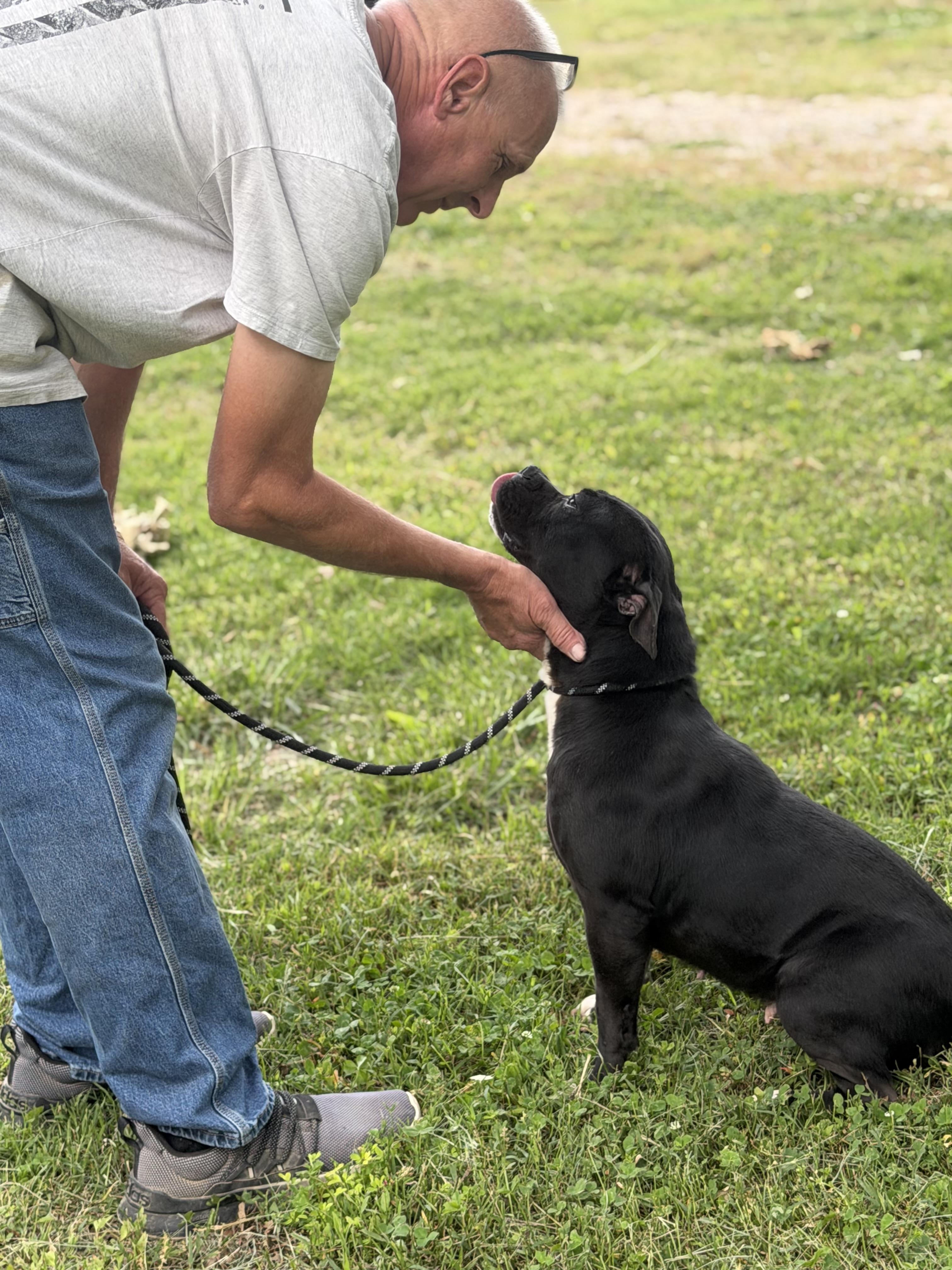 Enlarge Queenie, a Adoptable mixed breed in Luttrell, TN image 5/6