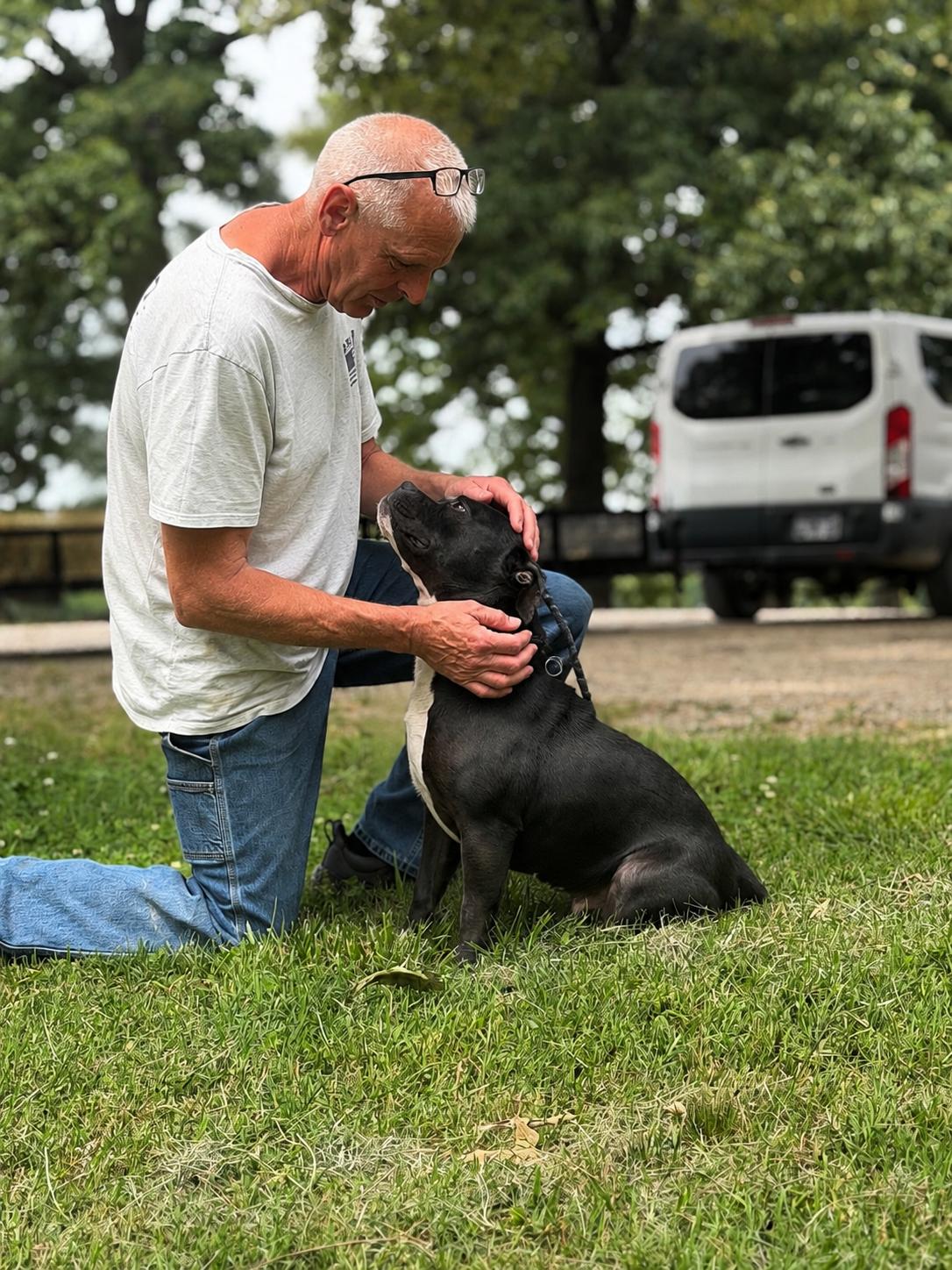 Enlarge Queenie, a Adoptable mixed breed in Luttrell, TN image 2/6