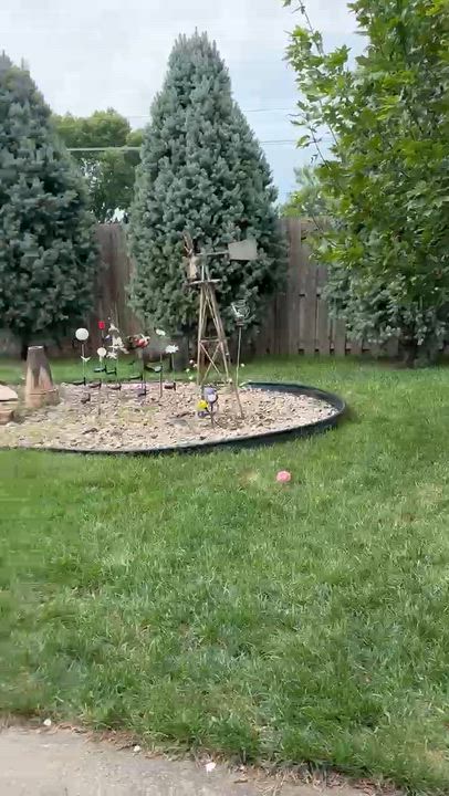 Enlarge Munch in NE, a ADOPTABLE mixed breed in Elkhorn, NE video 6/6
