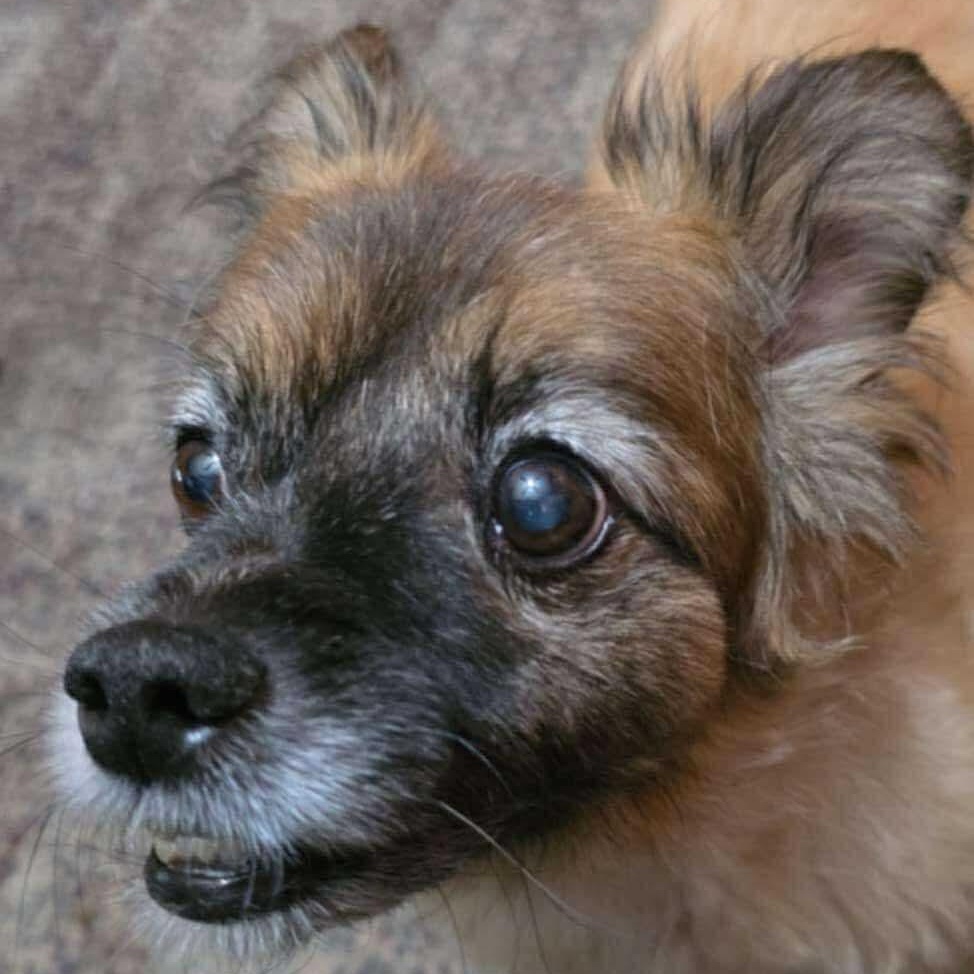 Sammy 3