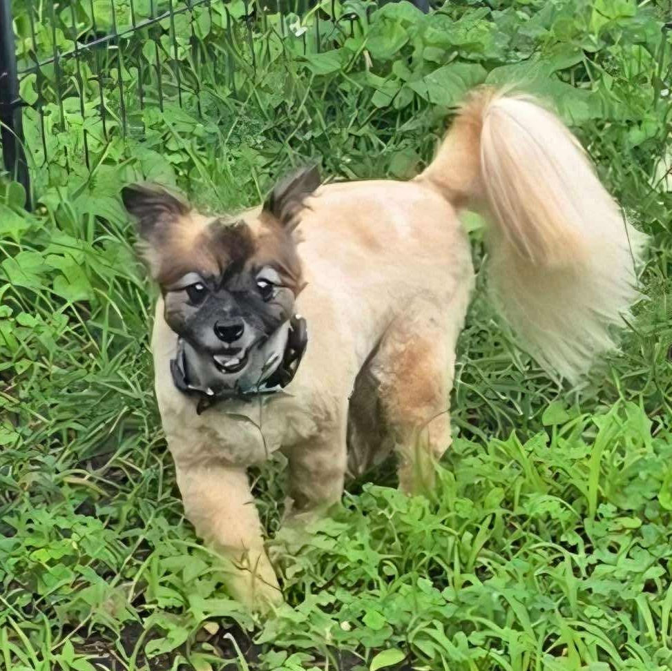 Sammy