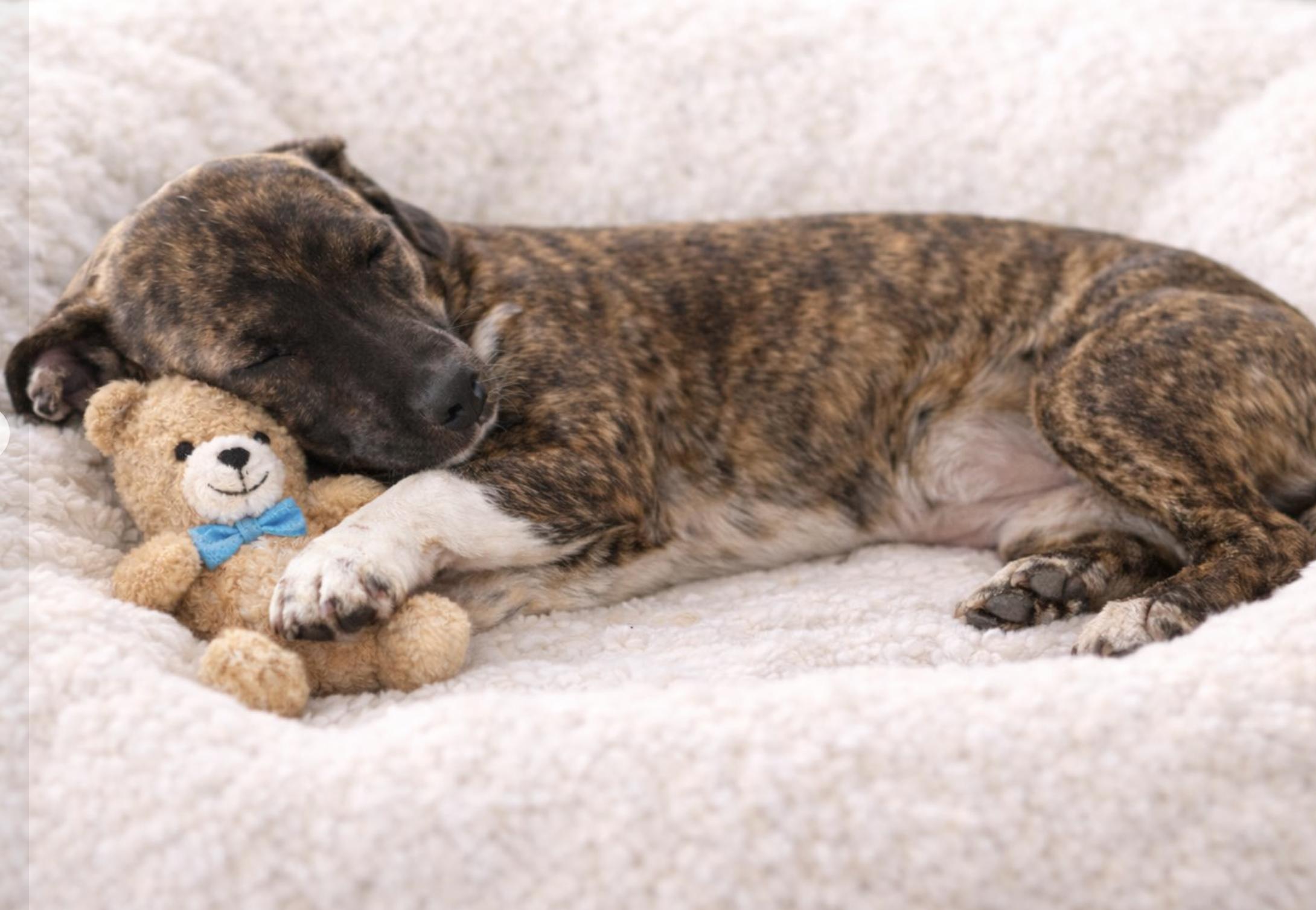 Quincy — thumbnail 2