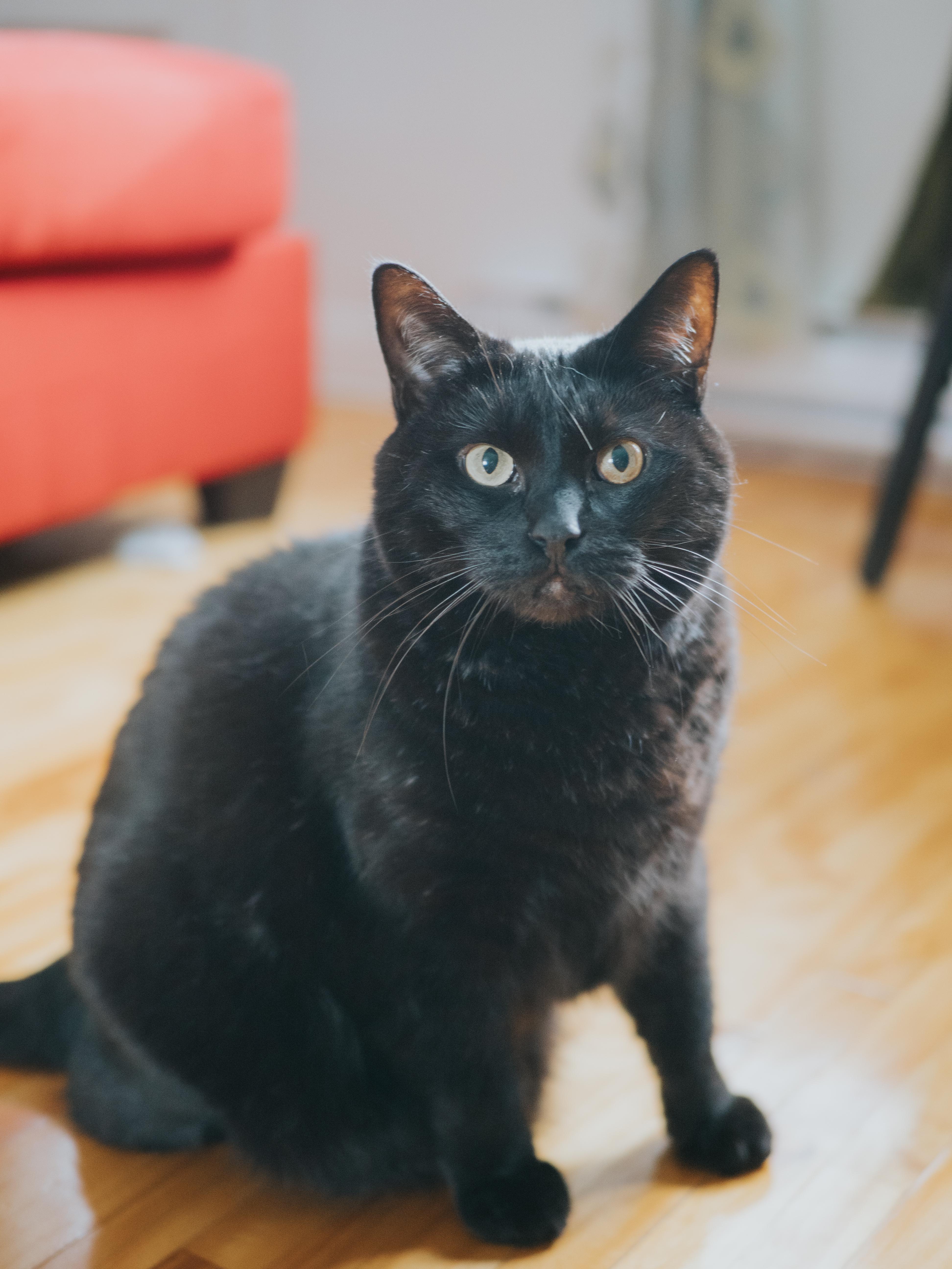 Sergio