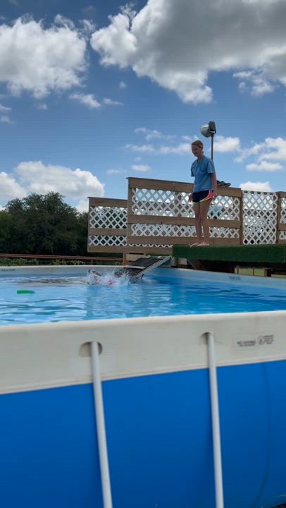 Enlarge Riddle, an adopted mixed breed in Gatesville, TX video 2/4