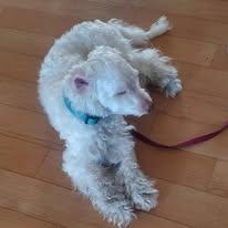 Butters - COMING SOON