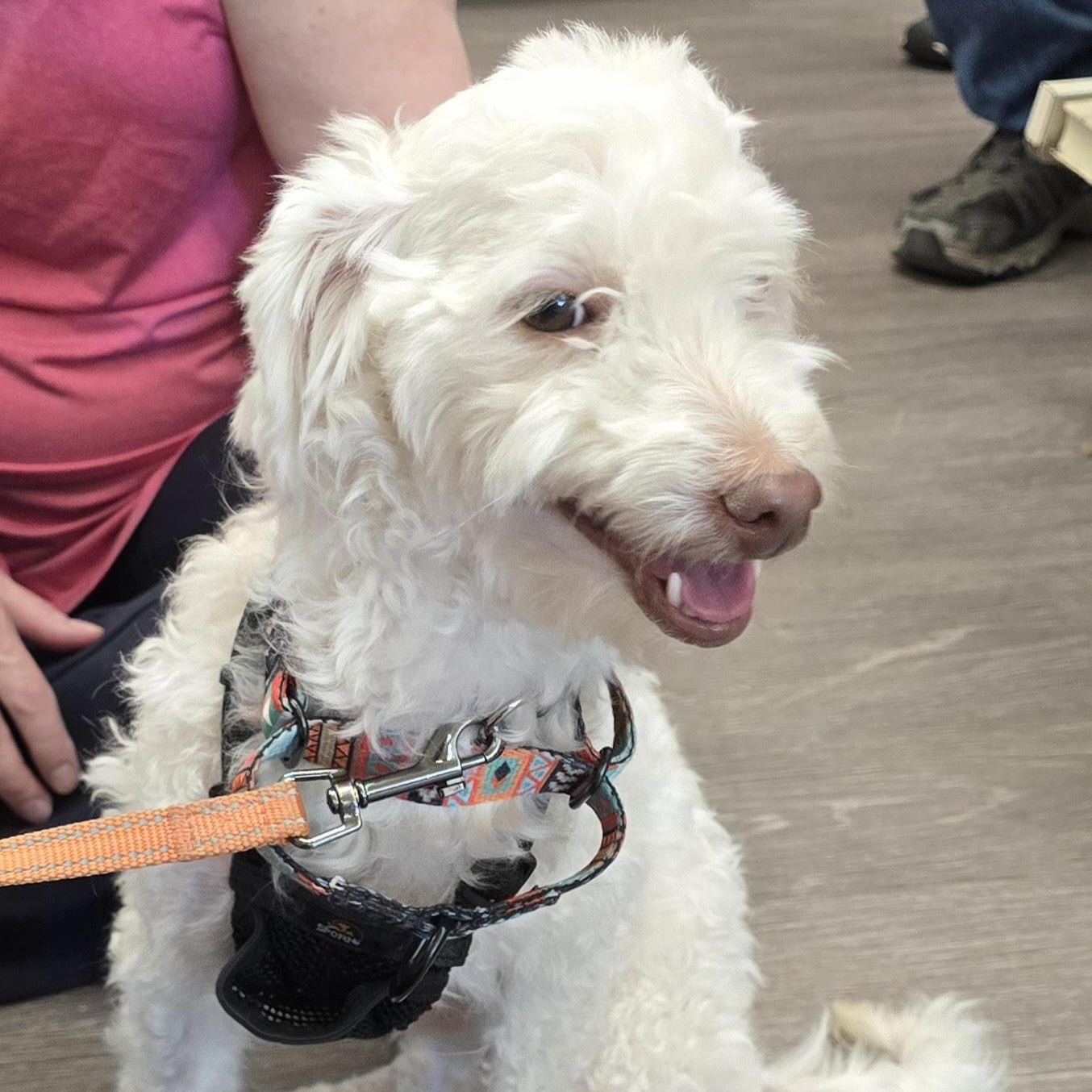 Butters - COMING SOON