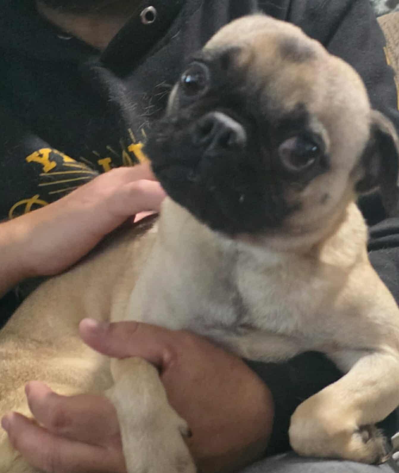 Lily Rose thumbnail 3