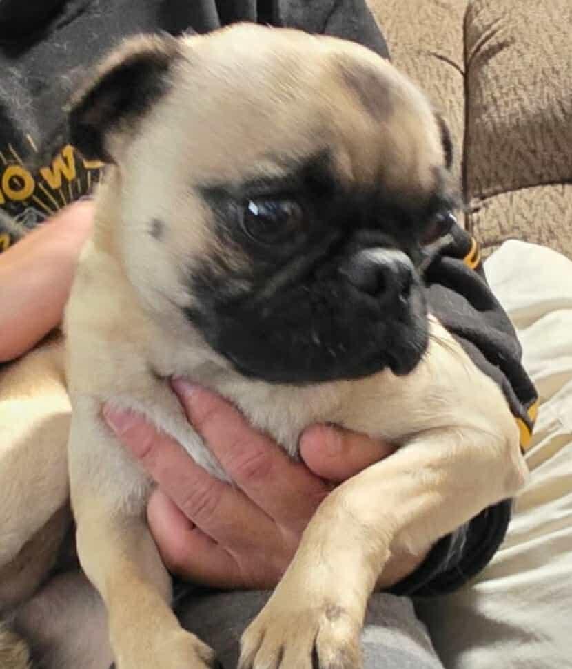 Lily Rose thumbnail 4