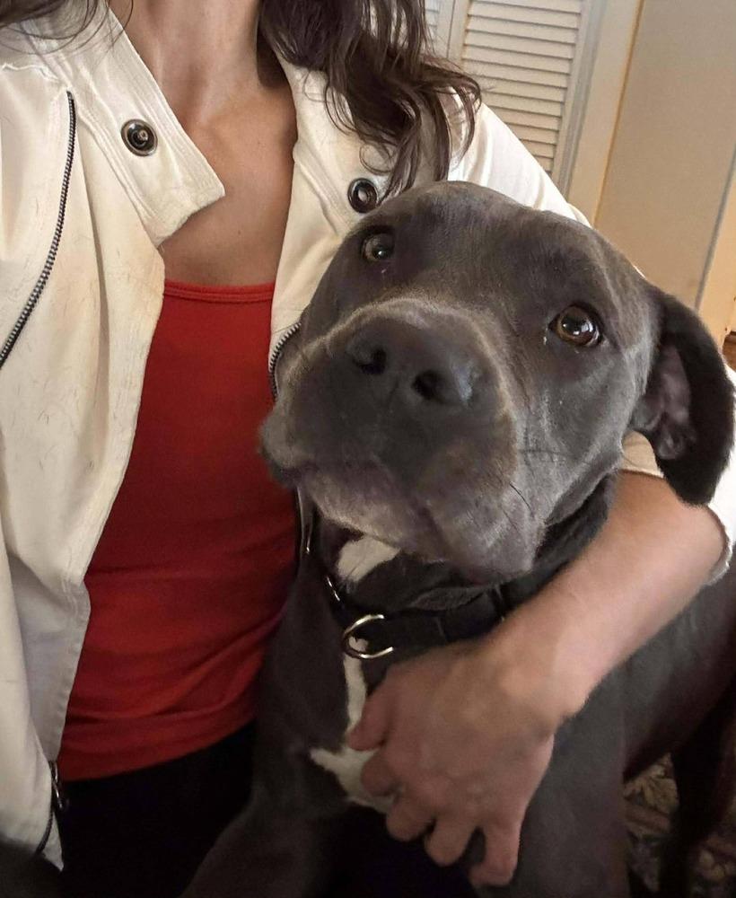 Langley — thumbnail 5