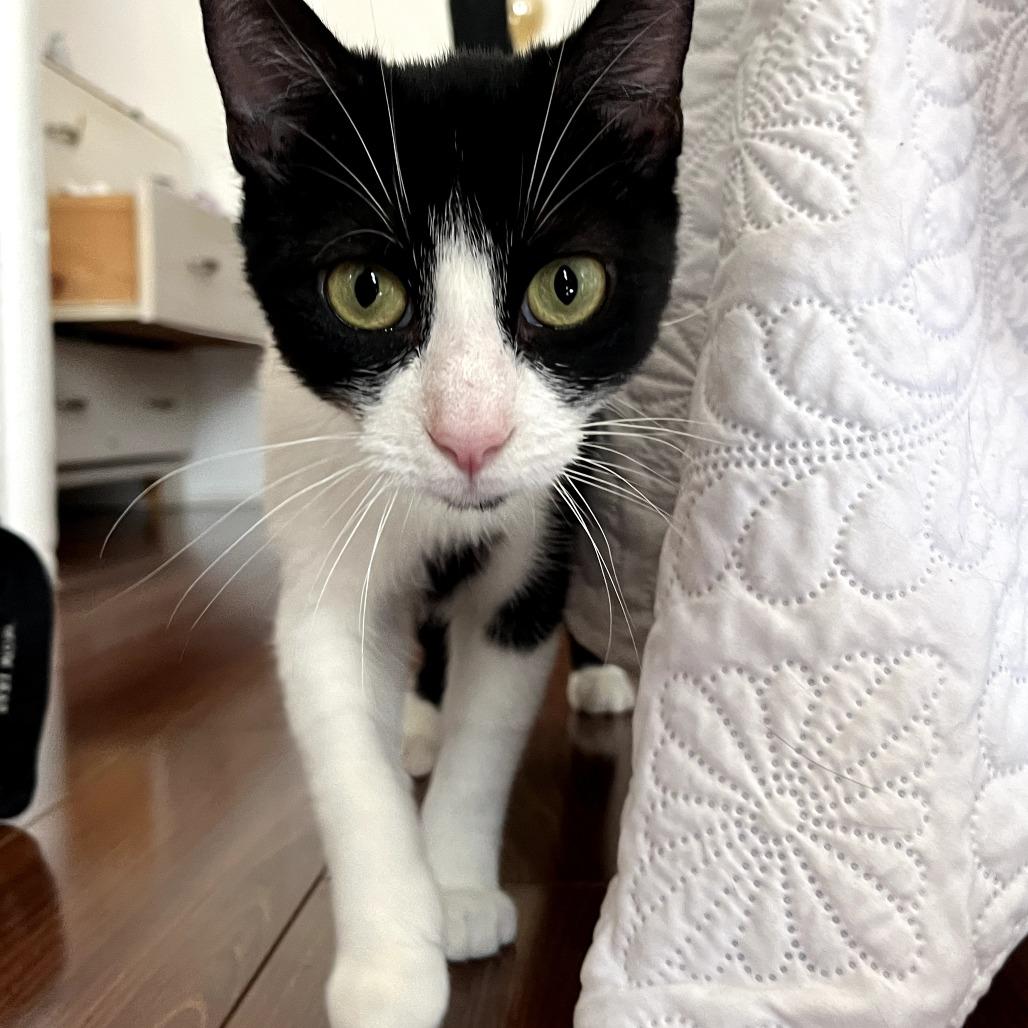 Sailor — thumbnail 2