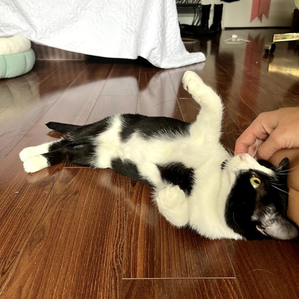 Sailor — thumbnail 3