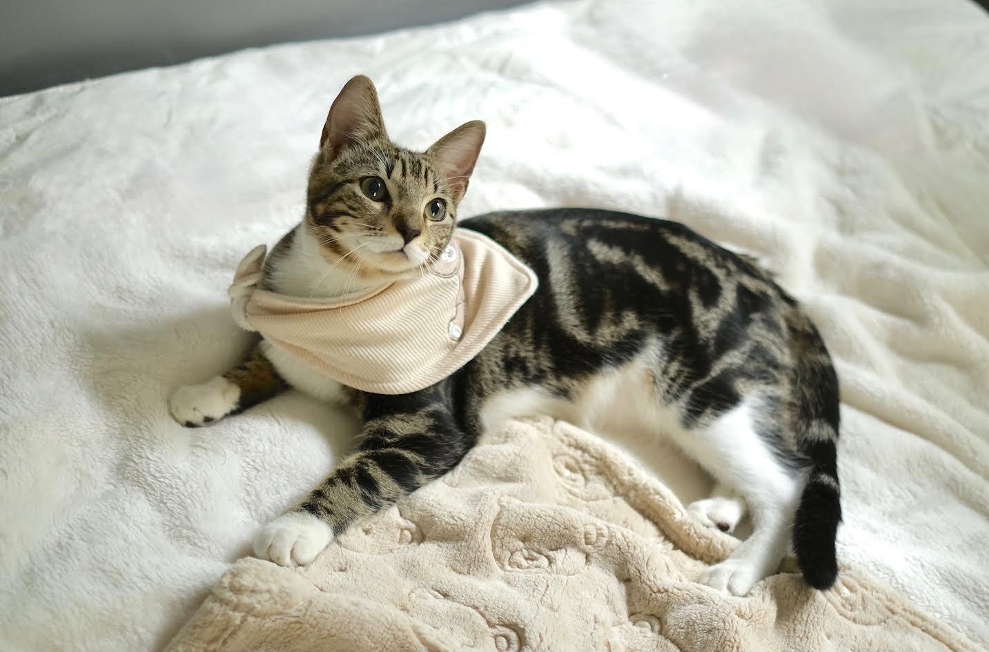 Phoenix & Sammy thumbnail 5