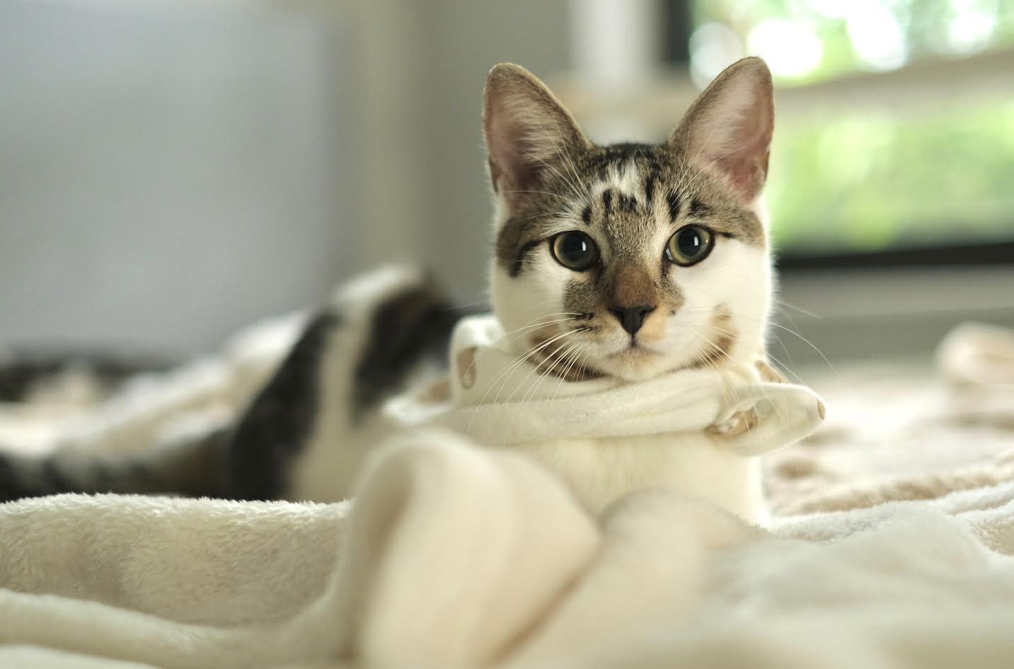 Phoenix & Sammy thumbnail 4