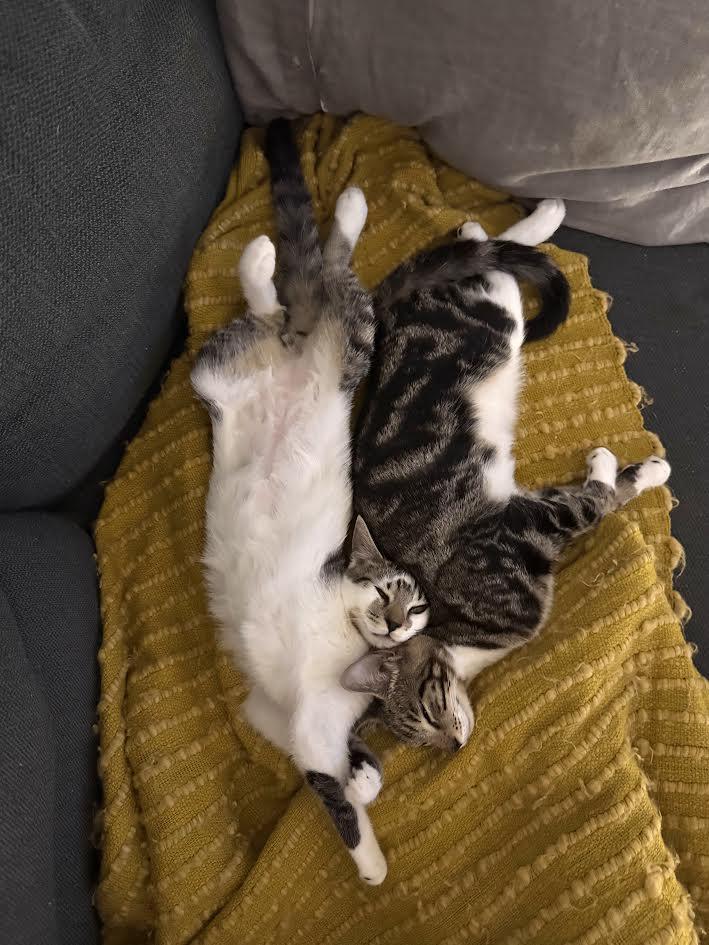 Phoenix & Sammy thumbnail 6