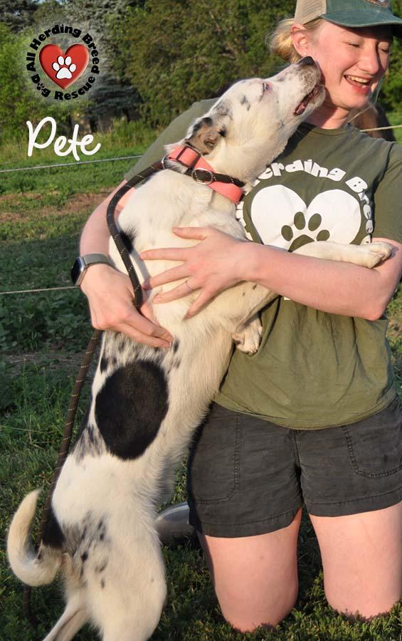 Pete photo 3