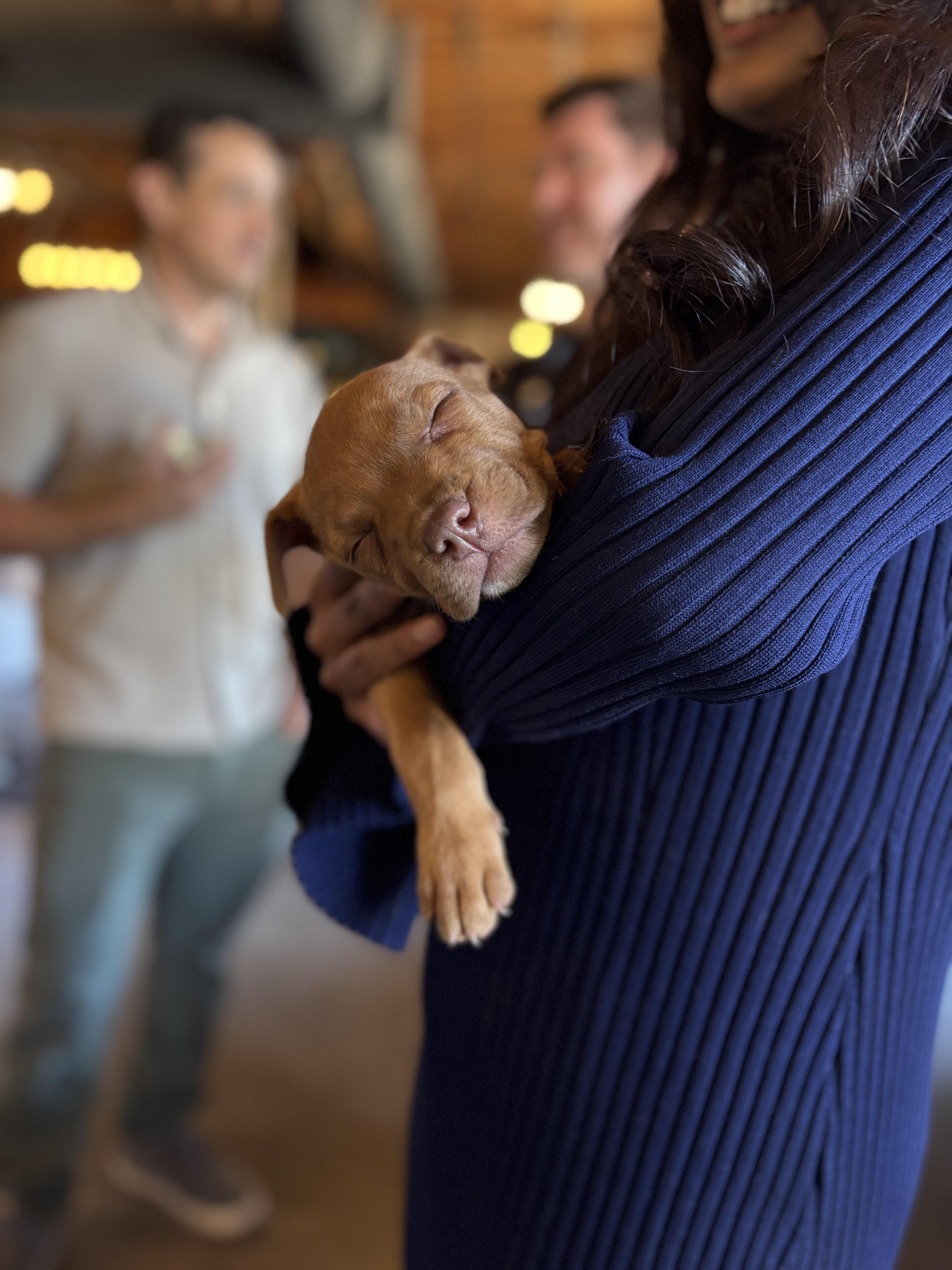 Thelma Louise thumbnail 6