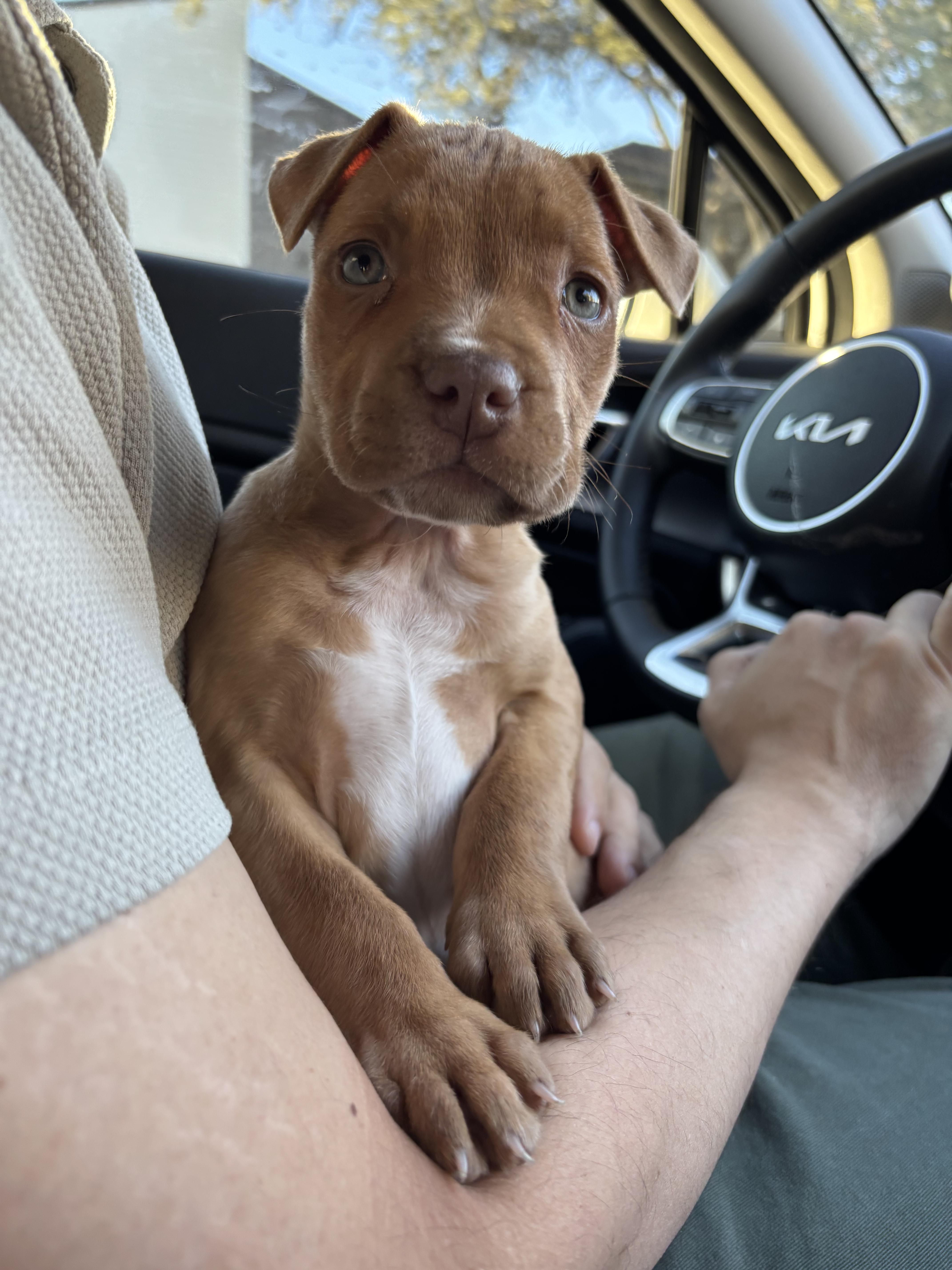 Thelma Louise thumbnail 3