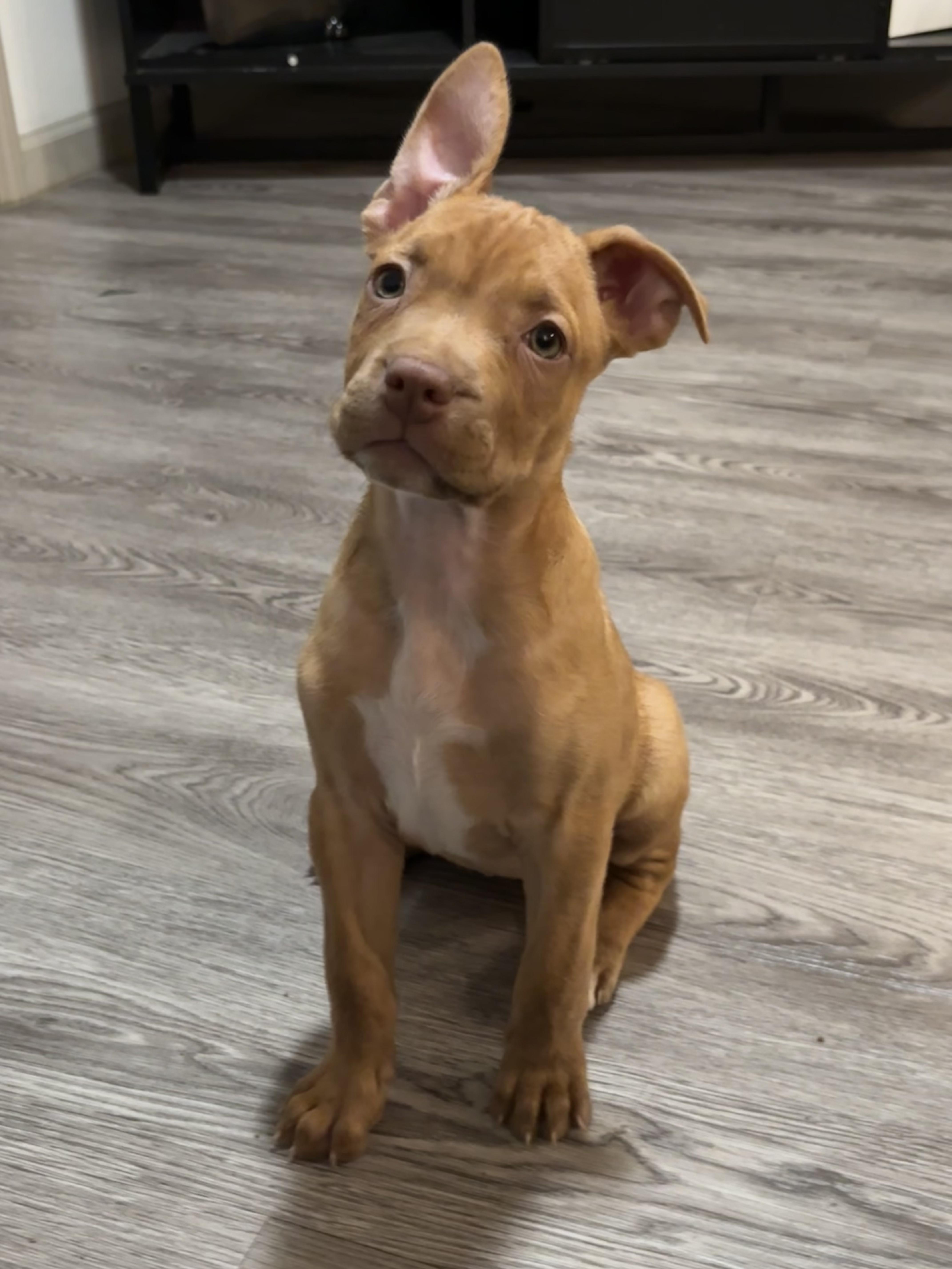 Thelma Louise thumbnail 2