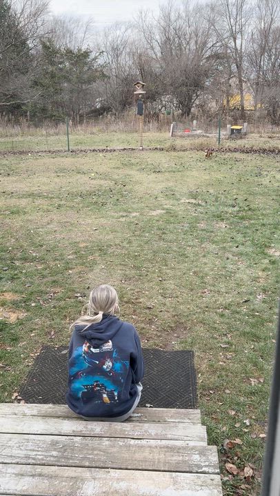 Enlarge Nougat, an adoptable Miniature Dachshund in Whitewater, WI video 5/5