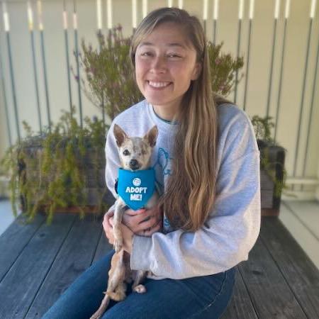 Enlarge Zelda, a Adoptable Chihuahua in Pacific Grove, CA image 6/6