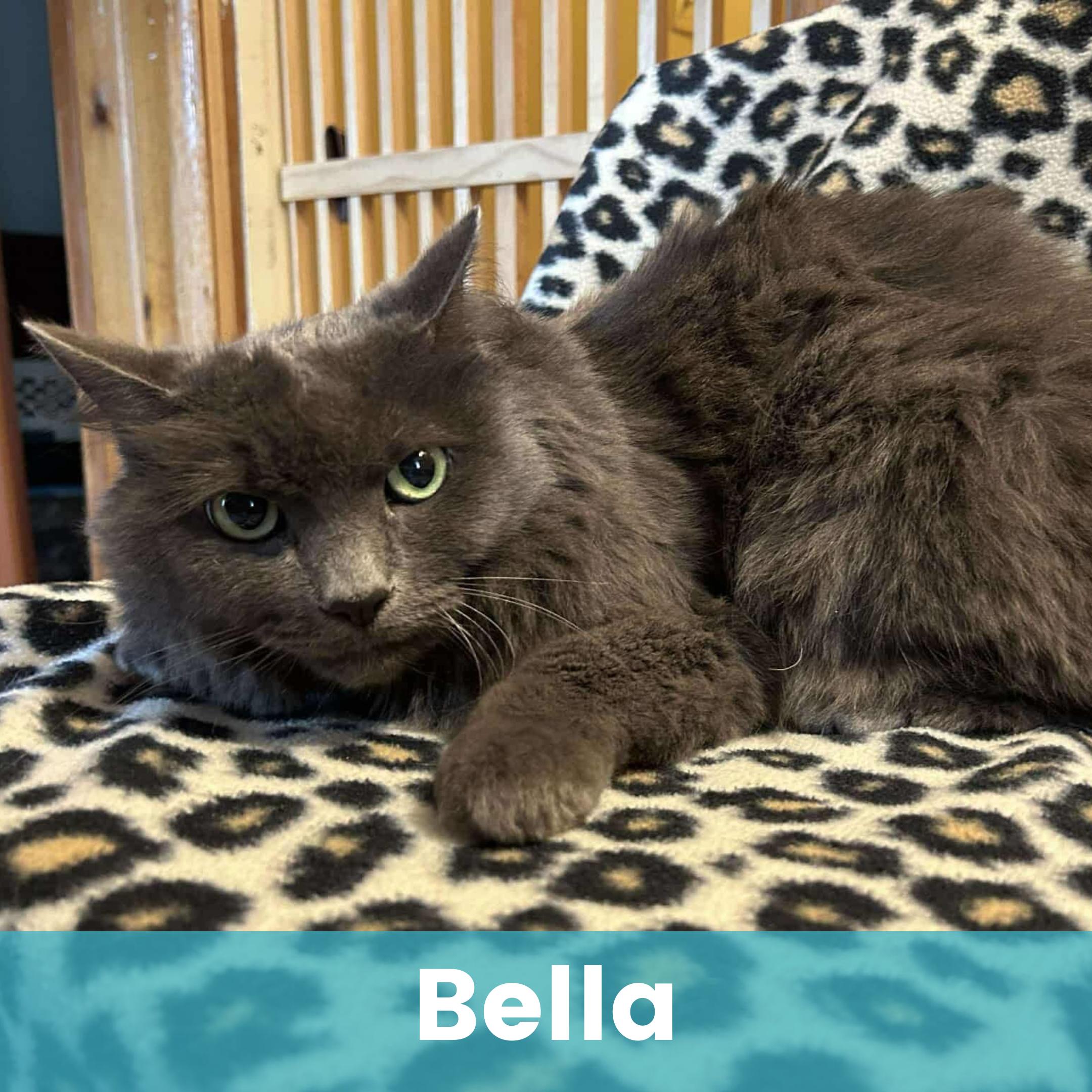 Bella