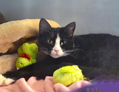 Bacardi — thumbnail 2