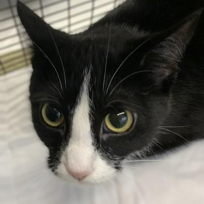 Bacardi — thumbnail 3