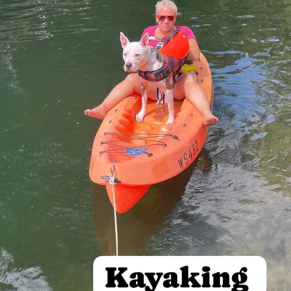 Enlarge Sparta, a Adoptable Pit Bull Terrier in Mooresville, IN image 1/5