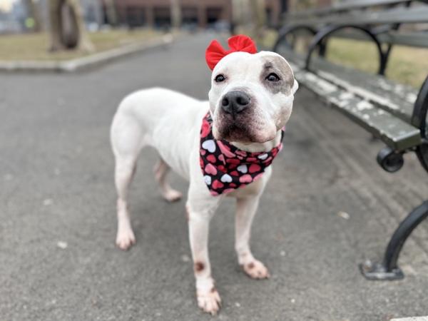 Bianca — thumbnail 2