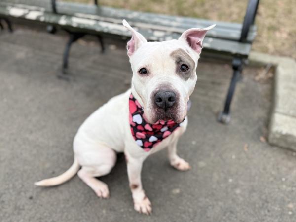 Bianca — thumbnail 3