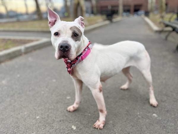 Bianca — thumbnail 4