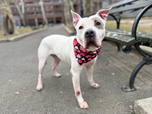 Bianca — thumbnail 5