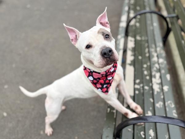 Bianca — thumbnail 6