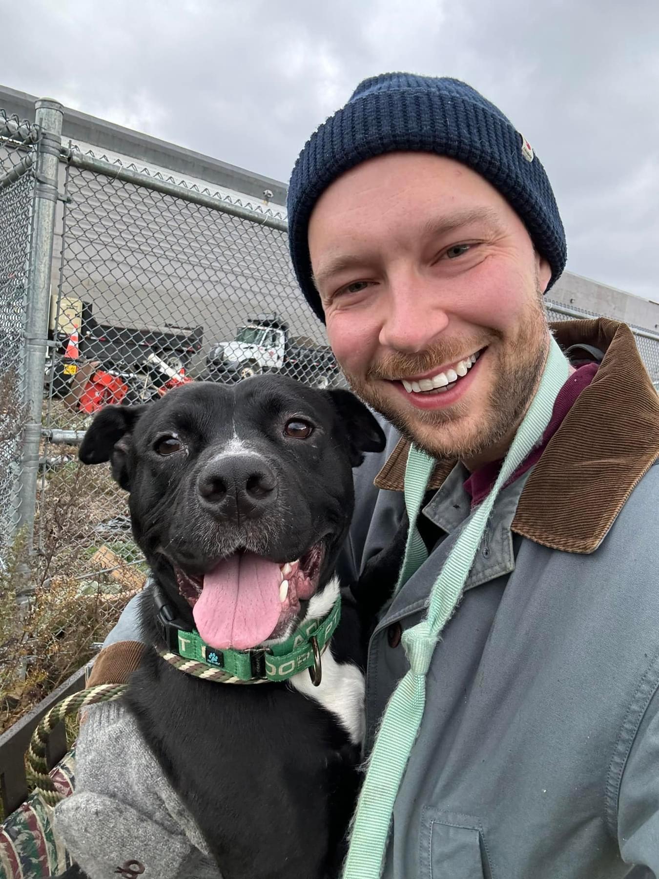 Enlarge Aslan, an adoptable mixed breed in Cleveland, OH image 3/6