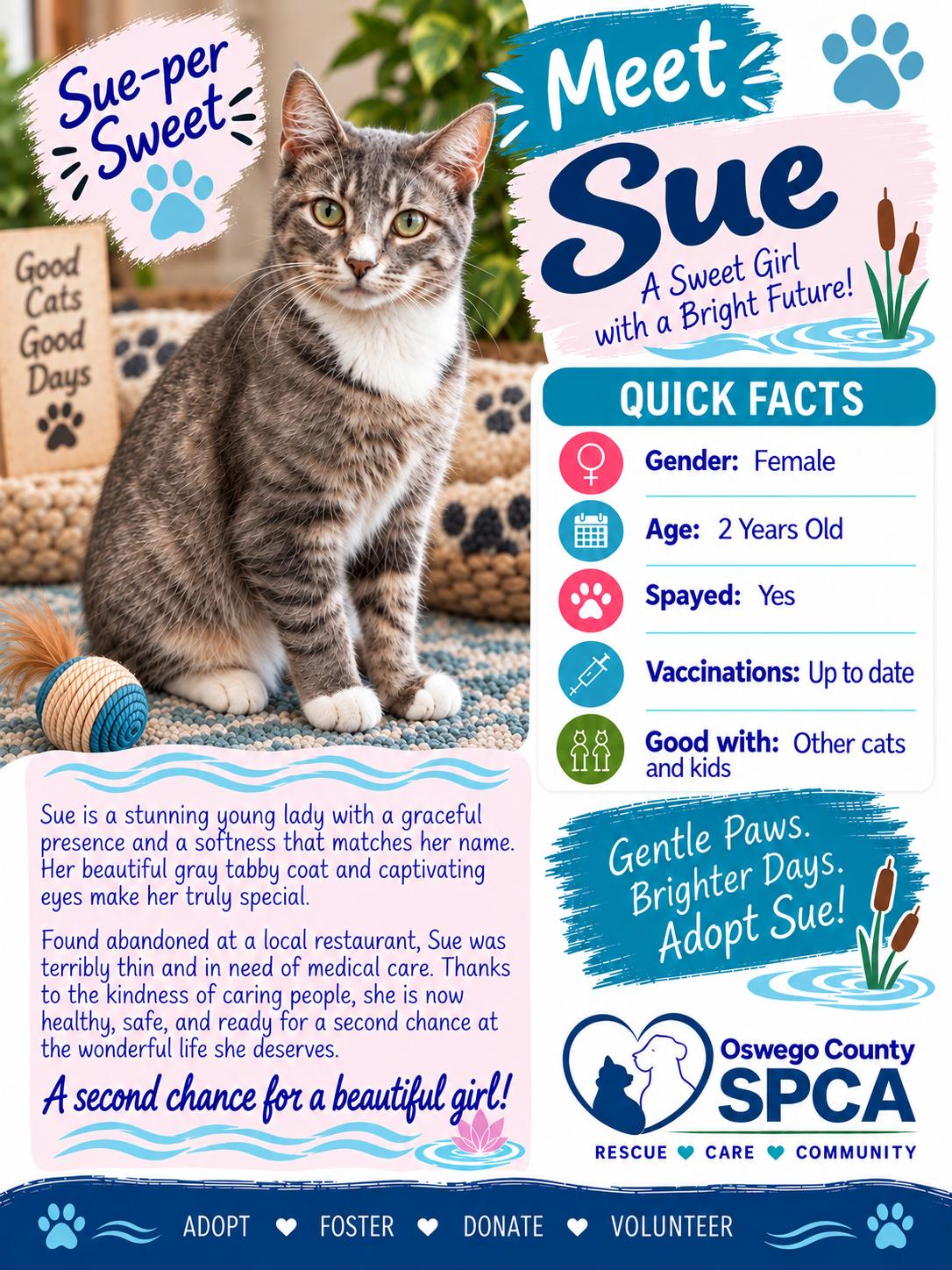 Enlarge Sue, a Adoptable mixed breed in Fulton, NY image 2/2